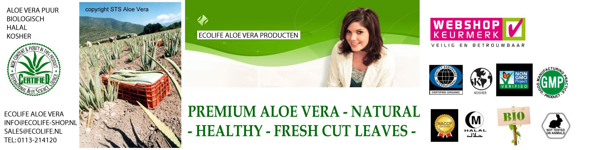 Afvallen met aloe vera - Aloe Gel en