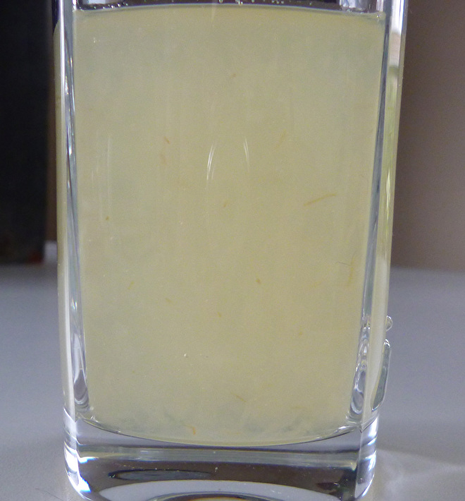 pure aloe vera dranken gel ecolife