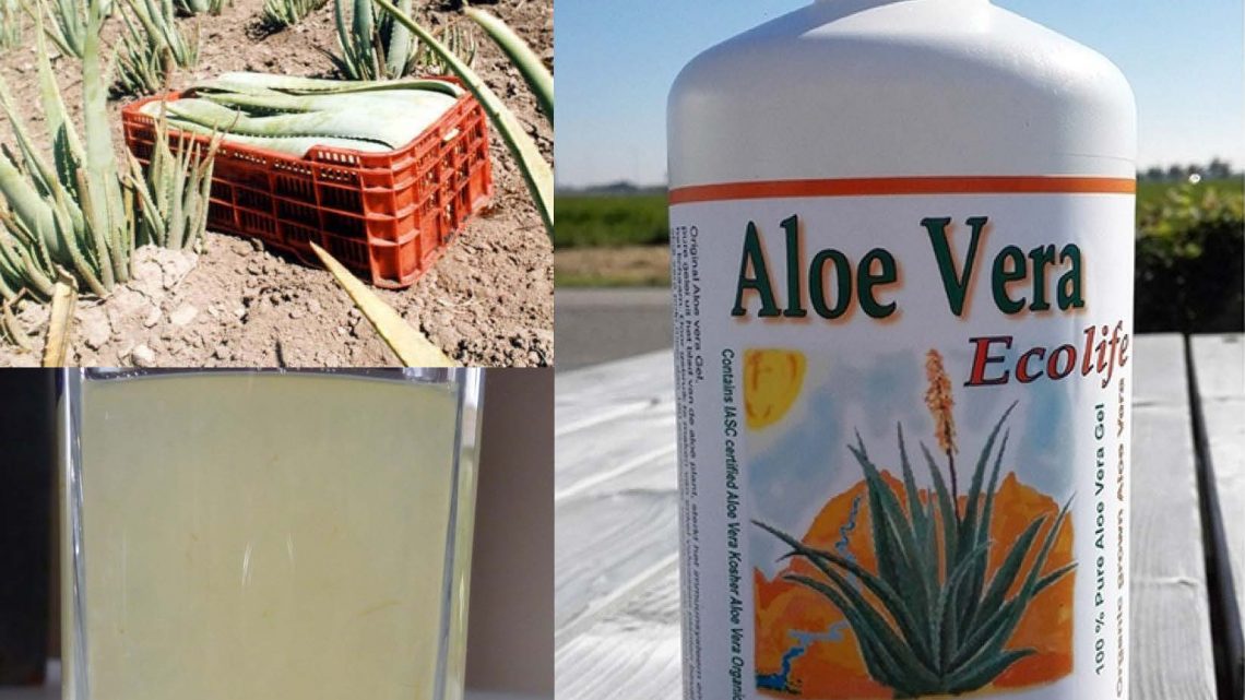 echte aloe vera producten